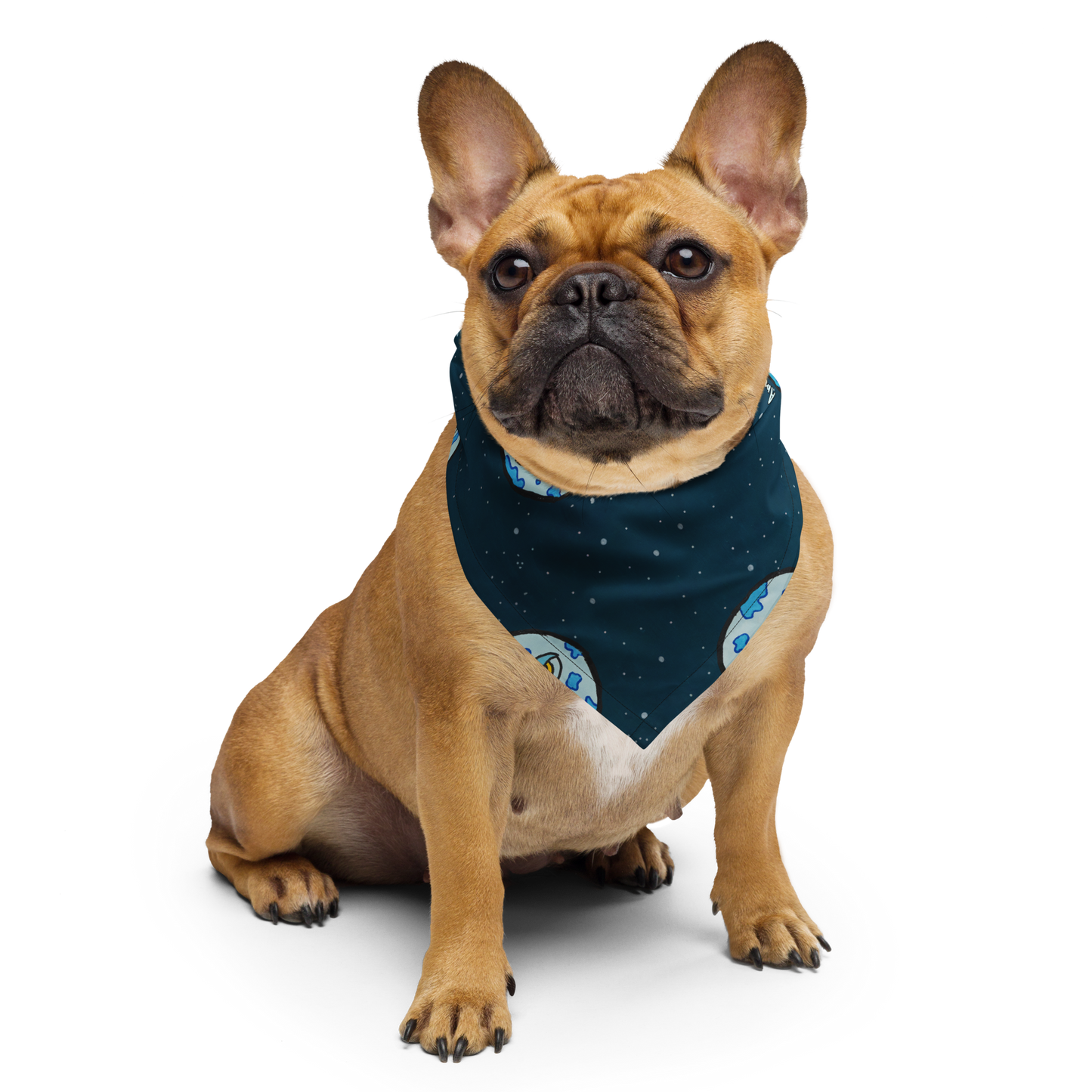 Bandana for Pet 'Universe' ♻️