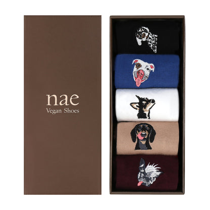 Doggie Sock Pack5 Blue